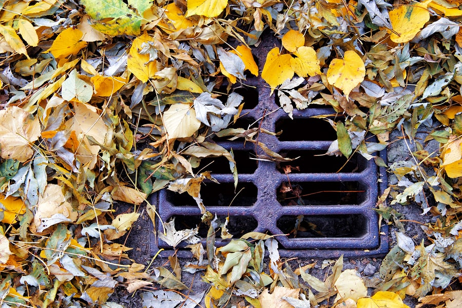 choked drain by leaves